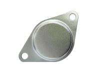 Заглушка отверстия в блоке под стартер C178F-C186F-C192F